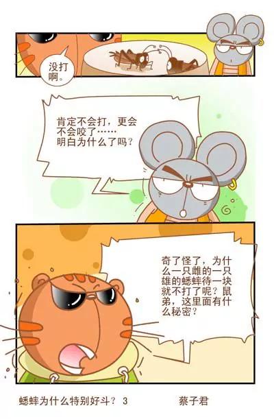 貓和老鼠科普漫畫 - 第48話 - 1