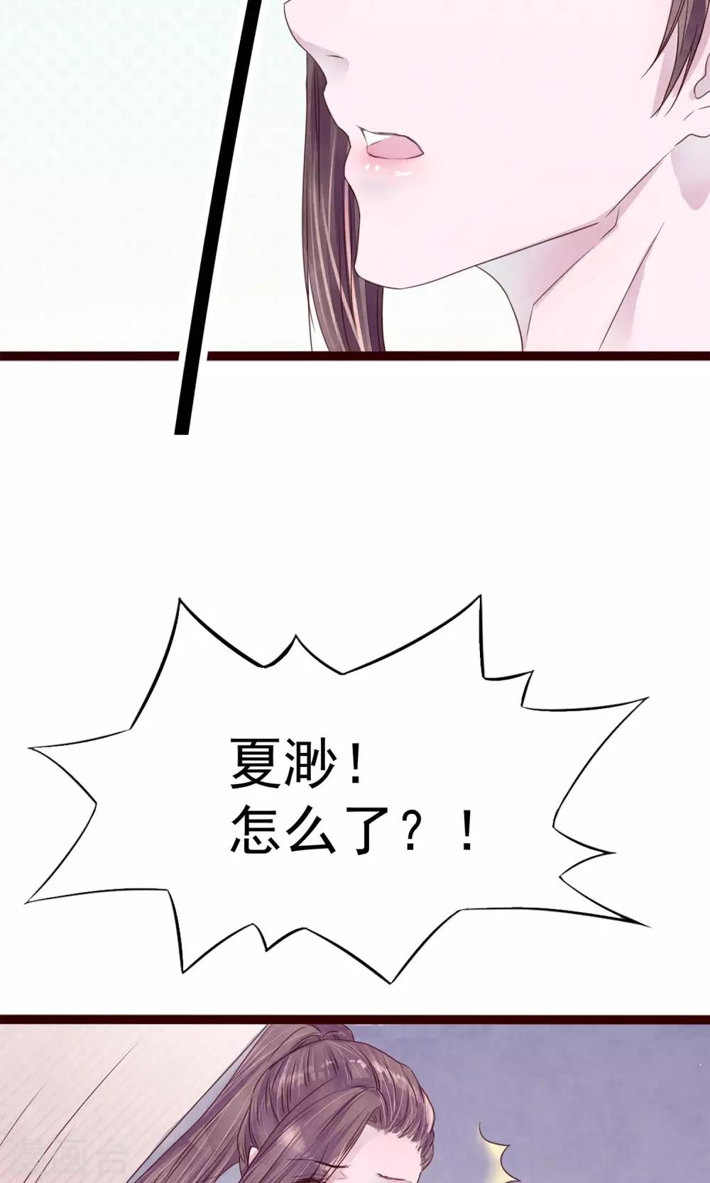 第5话 打扮我的喵-第6话