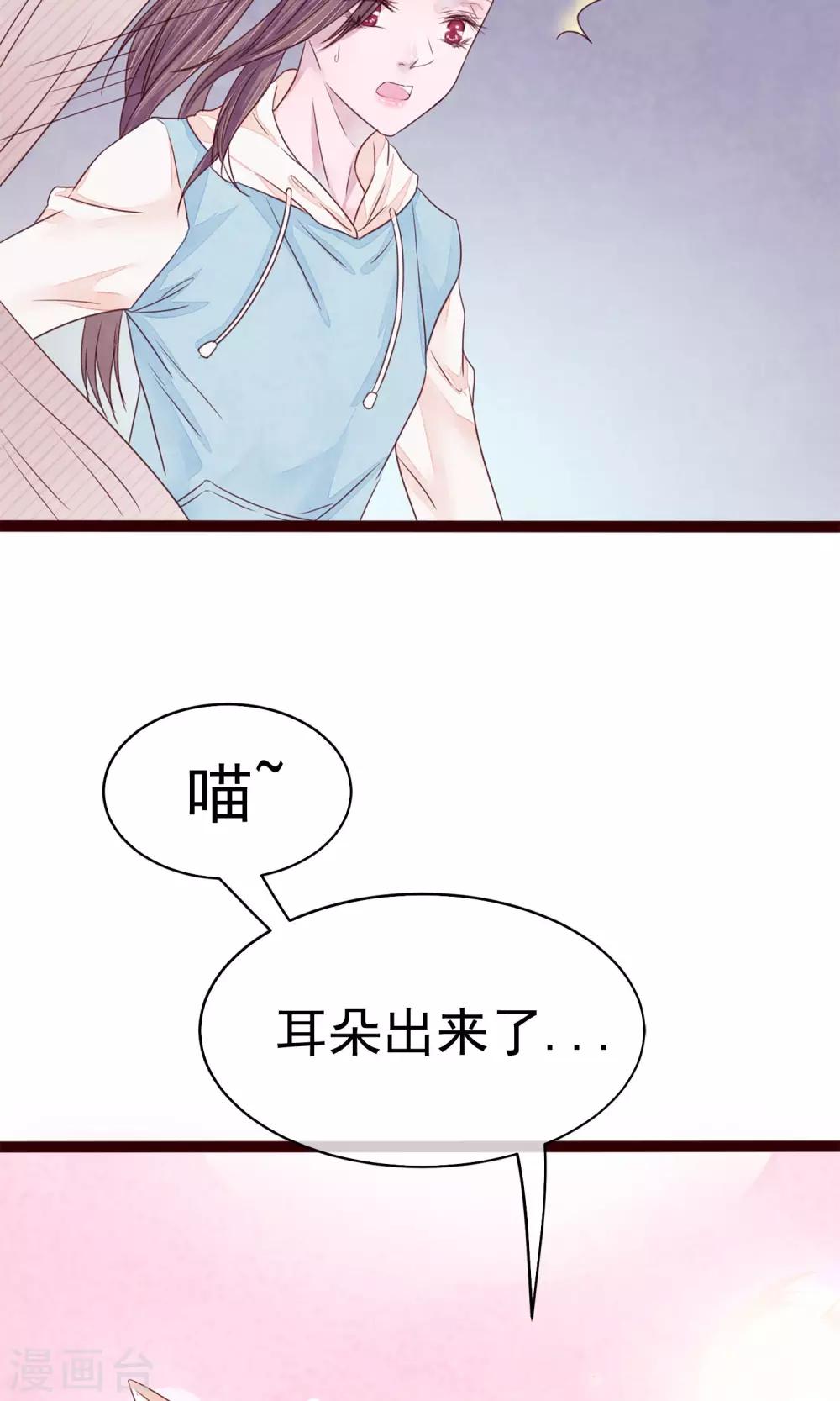 第5话 打扮我的喵-第6话