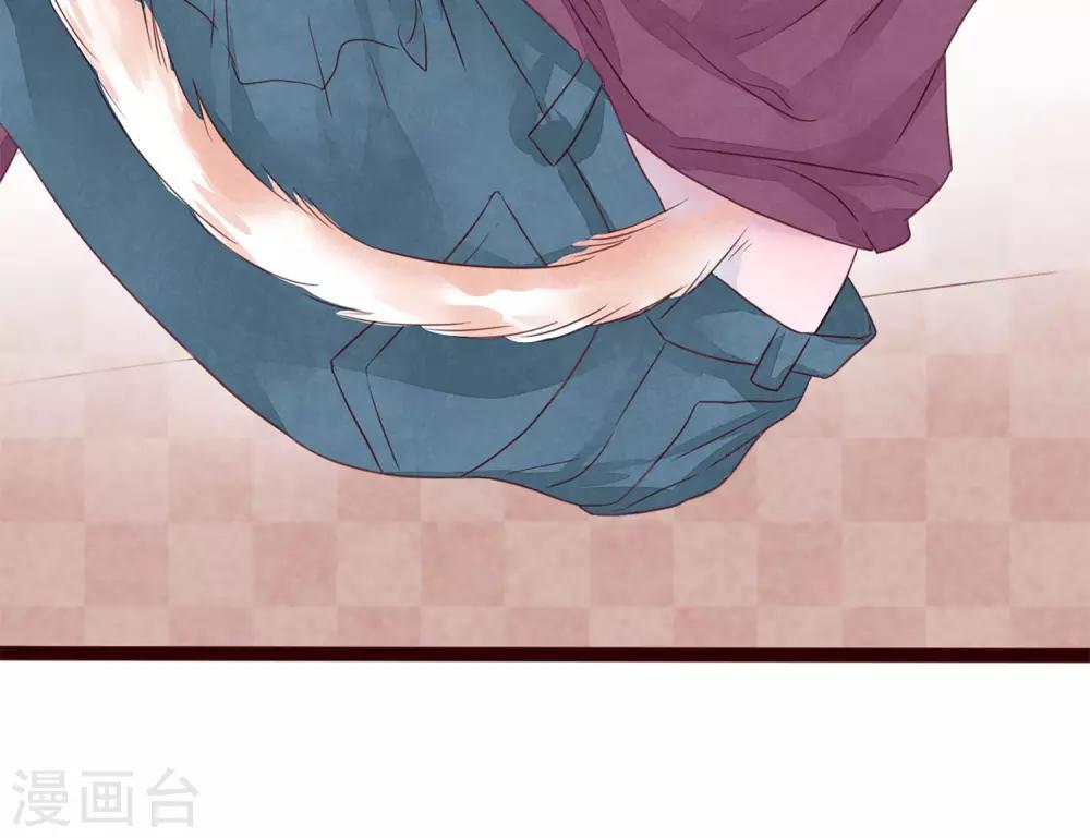 第5话 打扮我的喵-第6话