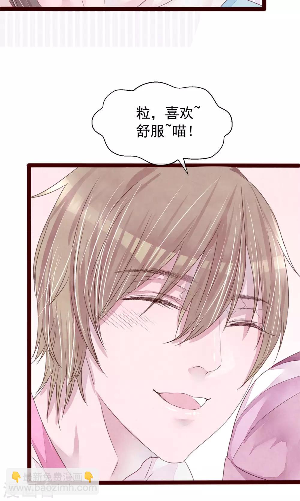 第5话 打扮我的喵-第6话