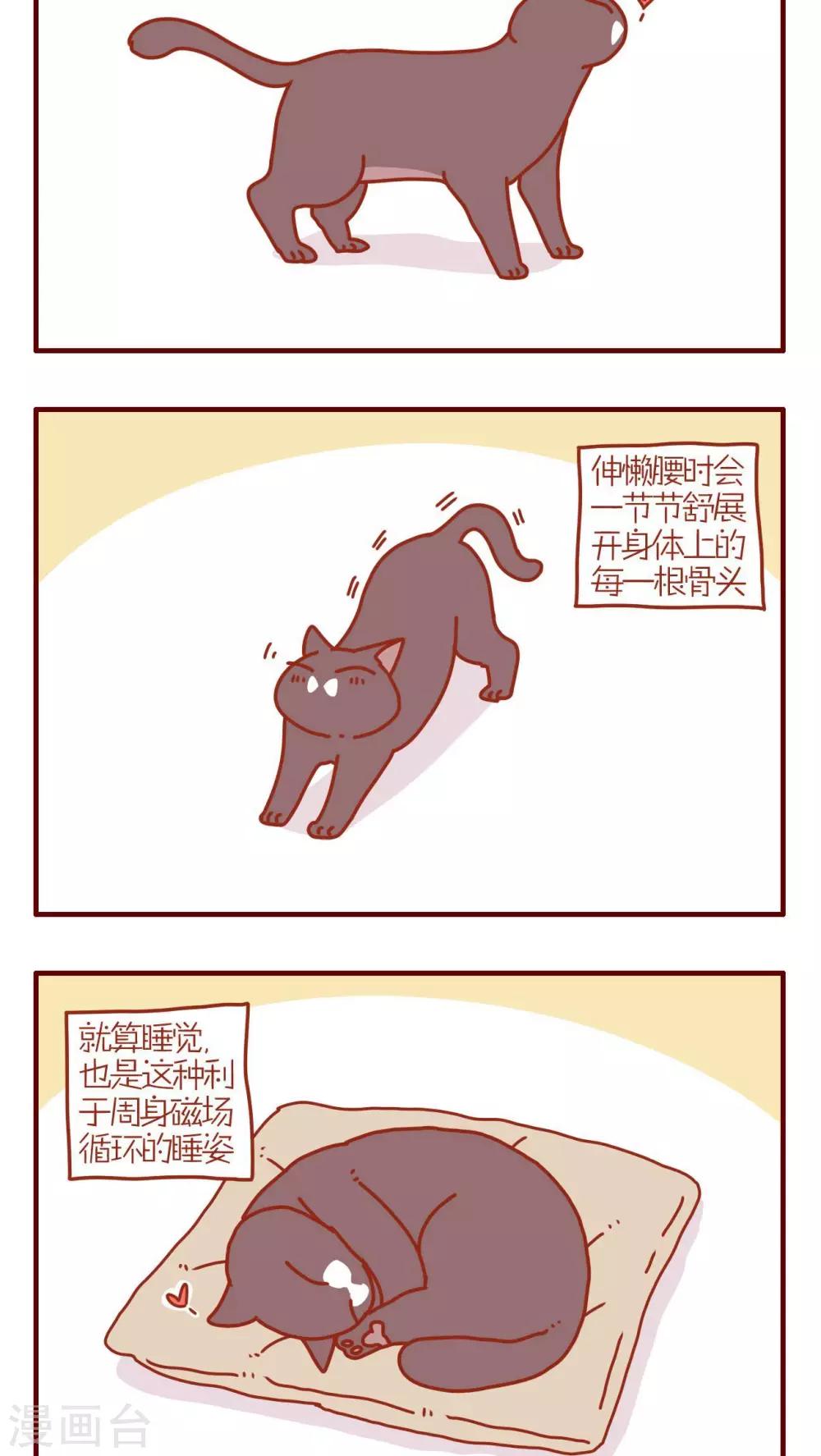 貓咪甜品屋 - 第196話 - 1