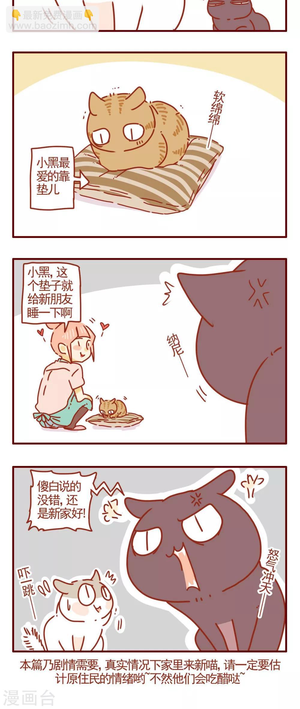 貓咪甜品屋 - 第276話 - 1