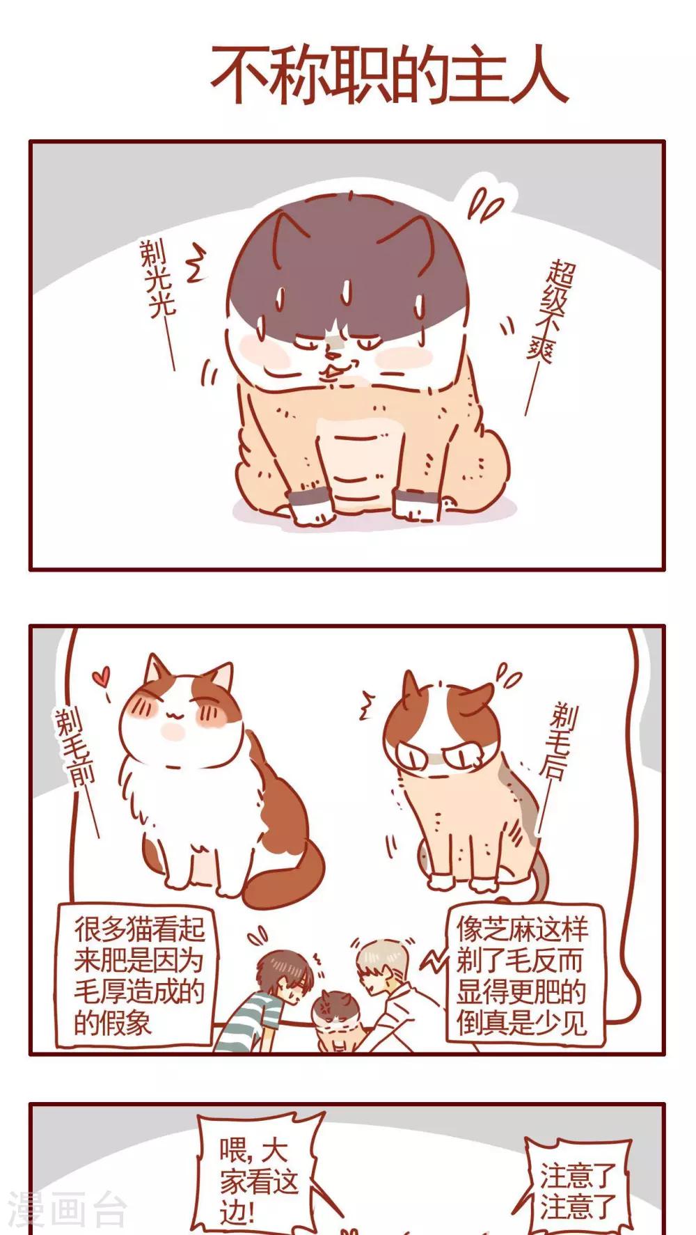 第290话-第290话