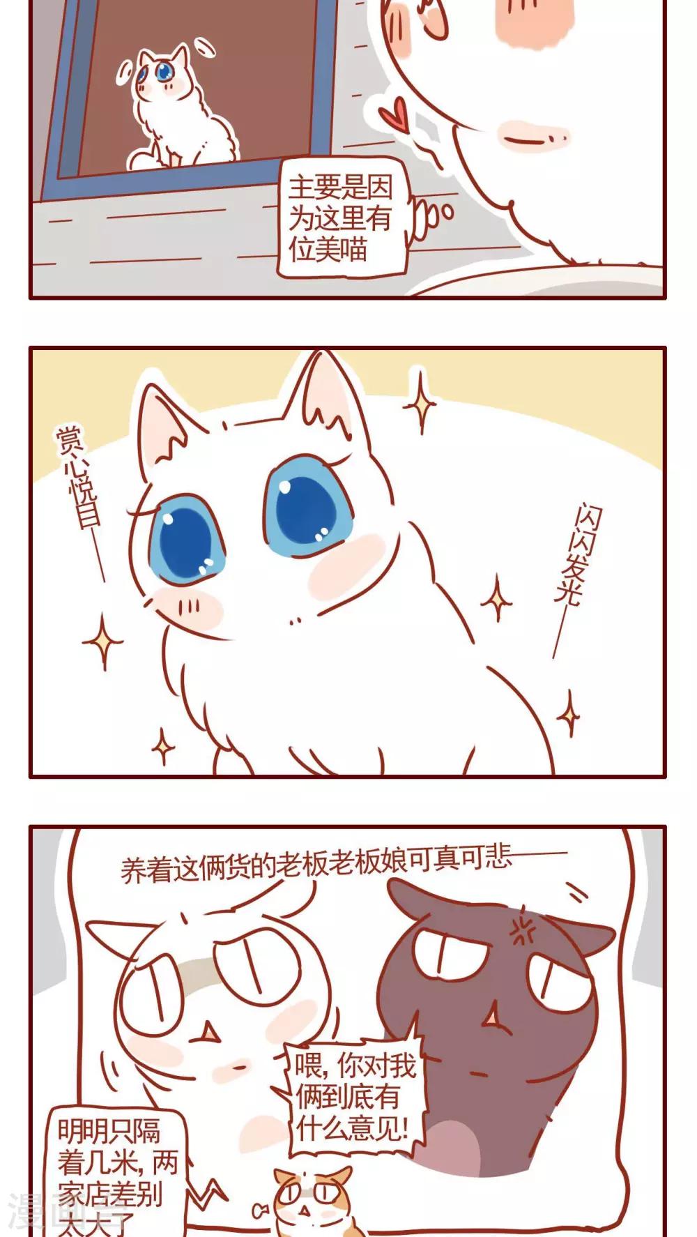 貓咪甜品屋 - 第316話 - 1