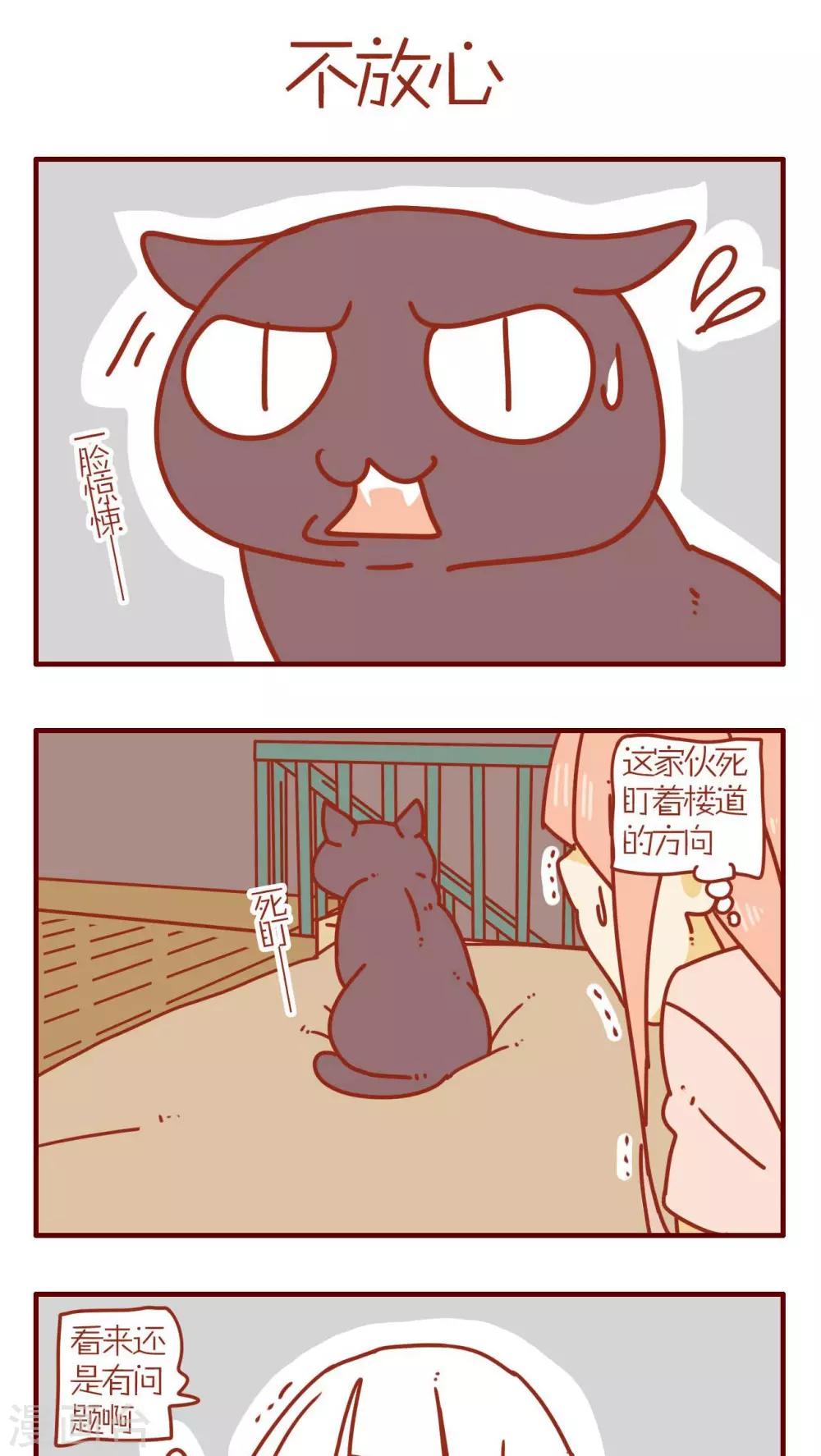 貓咪甜品屋 - 第68話 - 1