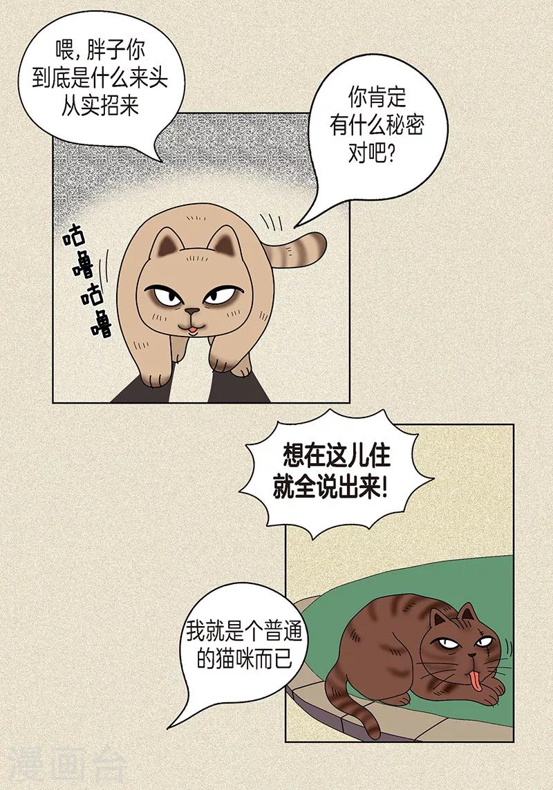 第18话 有人跟踪我？-第20话