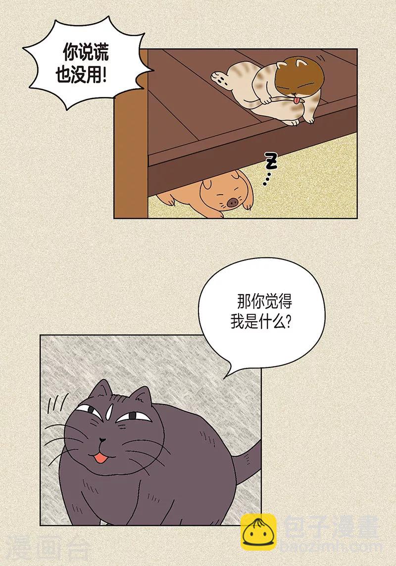 第18话 有人跟踪我？-第20话