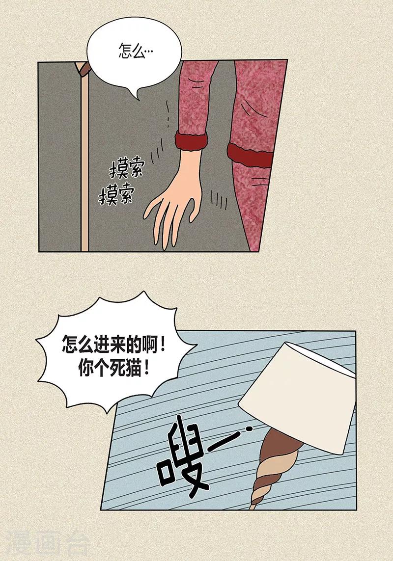 第22话 扑到你的怀里-第24话