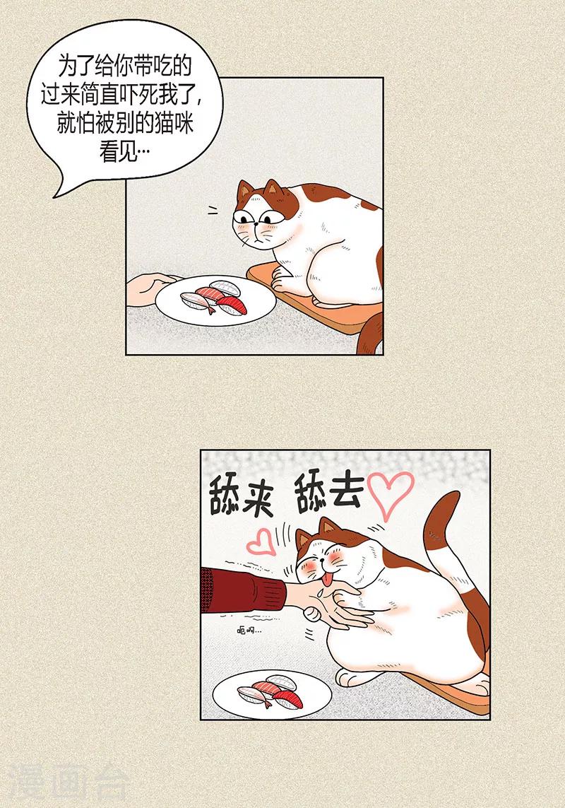 第30话 粘人的猫-第32话