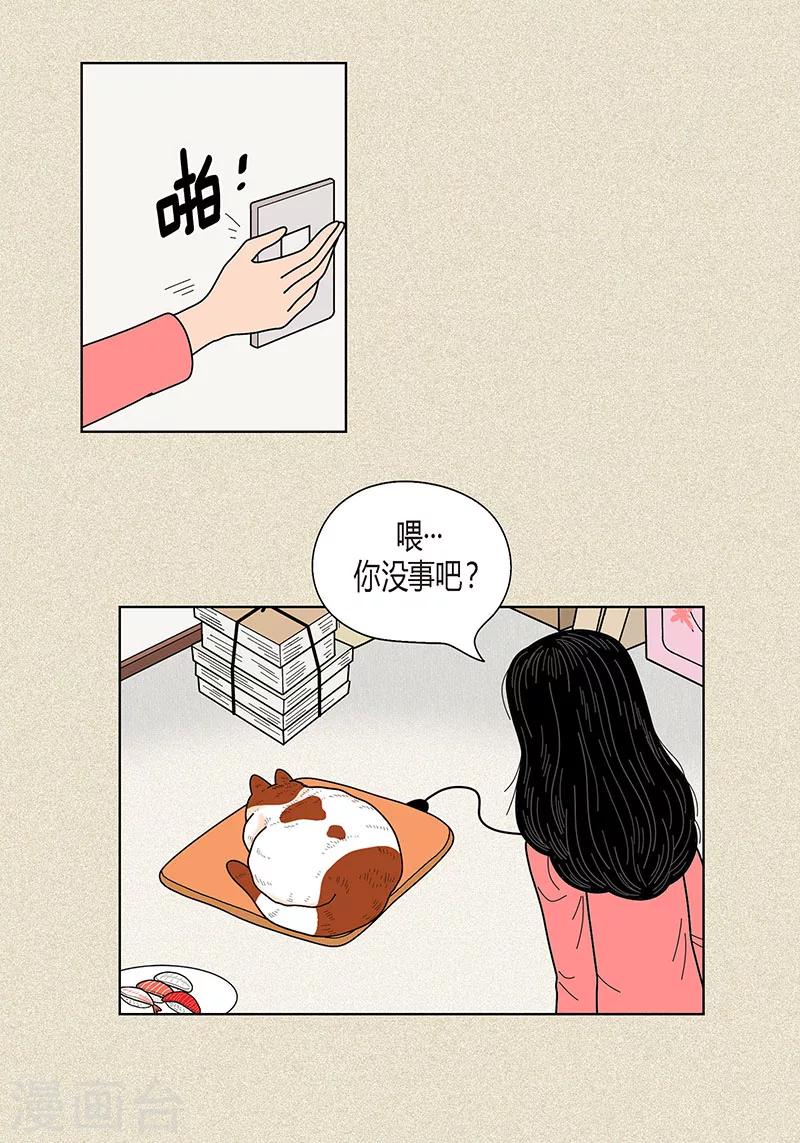 第30话 粘人的猫-第32话
