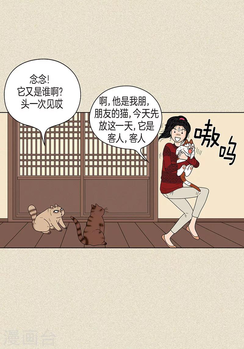 第30话 粘人的猫-第32话