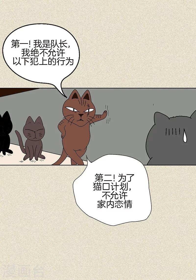 第4话 秃顶之灾-第6话