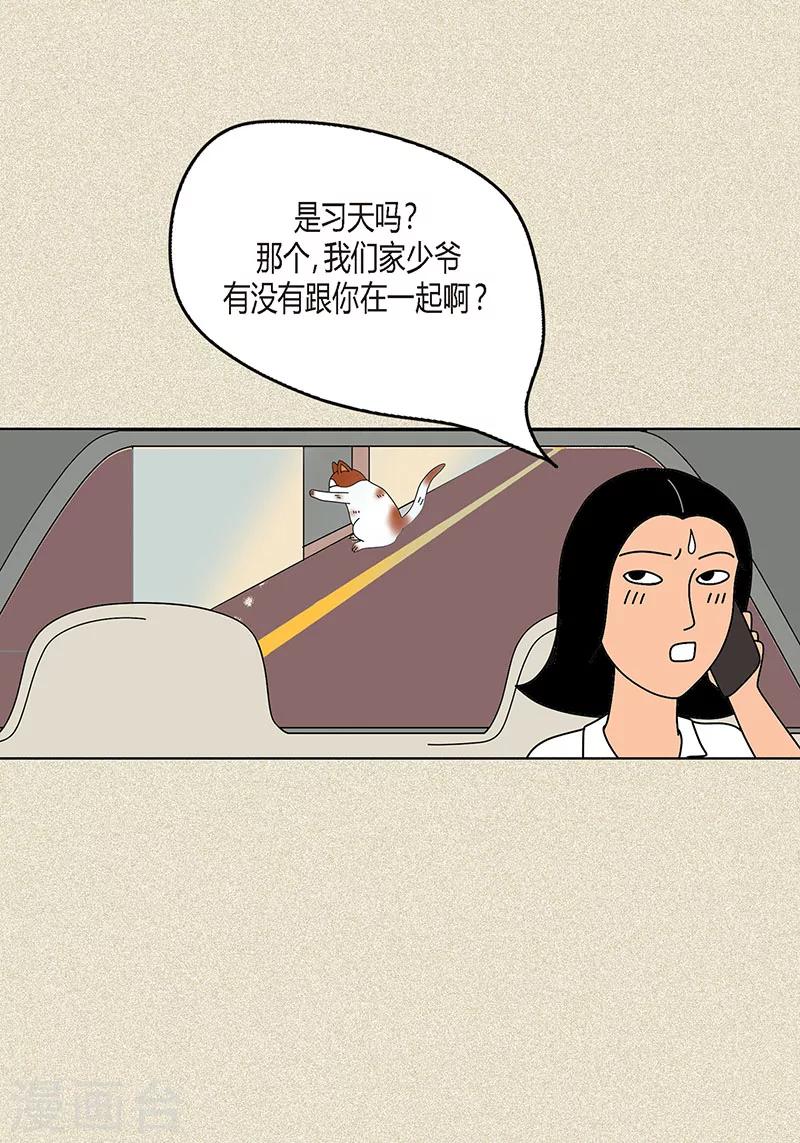 第8话 &ldquo;流浪&rdquo;喵-第10话