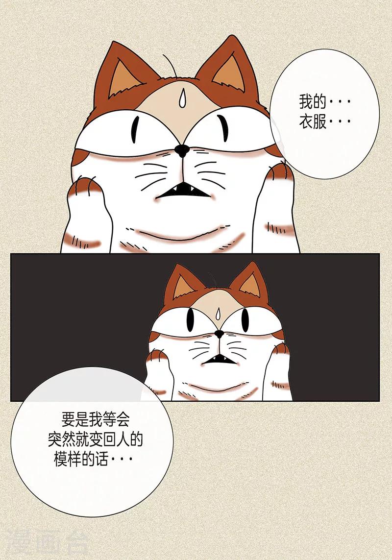 貓王子 - 第8話 “流浪”喵 - 1