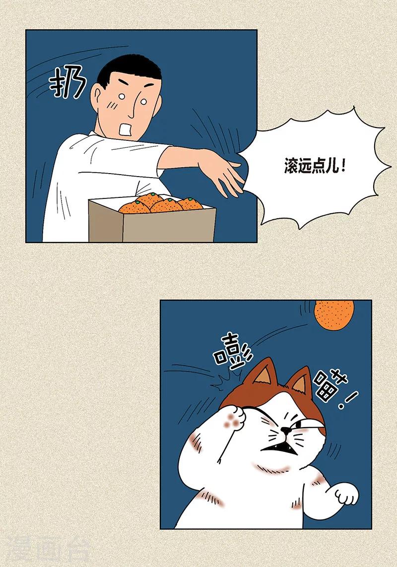 第8话 &ldquo;流浪&rdquo;喵-第10话