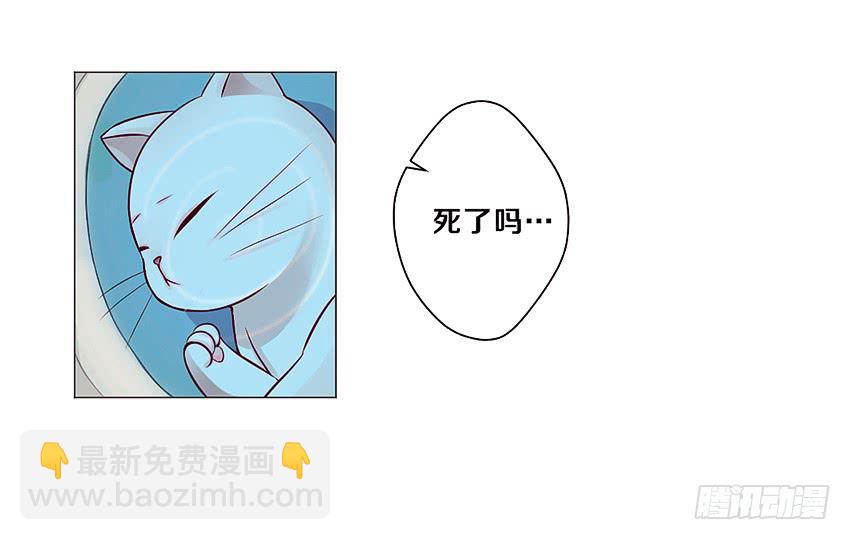 喵！？(1/2)-第2话