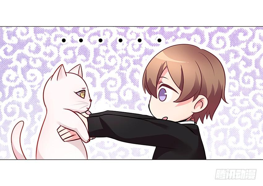 喵！？(1/2)-第2话