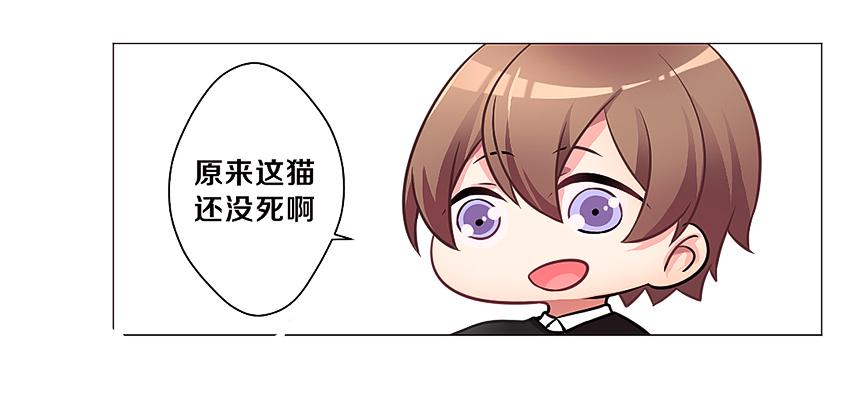 喵！？(1/2)-第2话