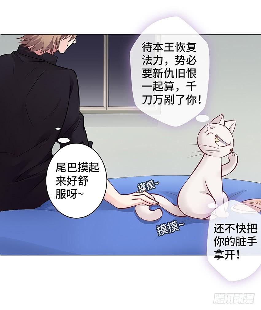 驱魔道家-第12话