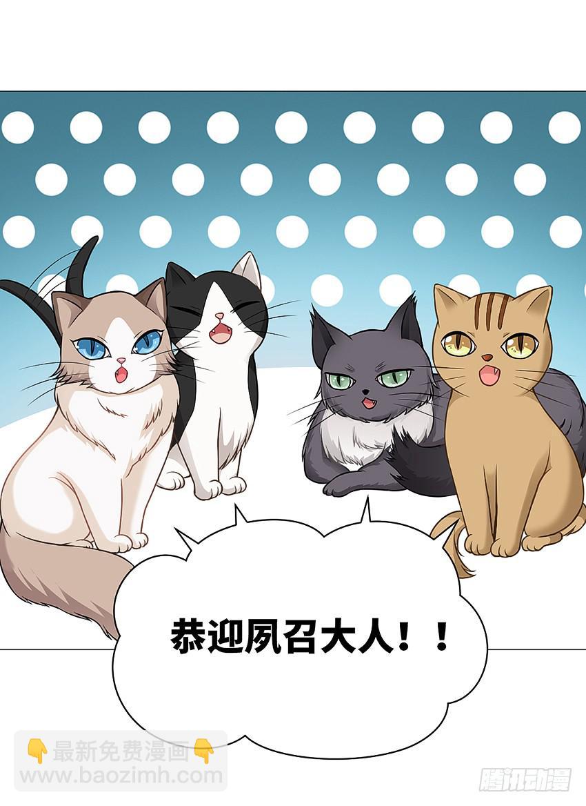 猫精F4(1/2)-第16话