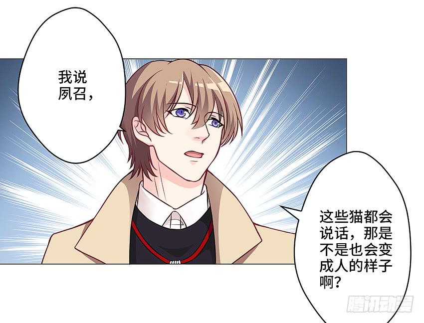 猫精F4(1/2)-第16话