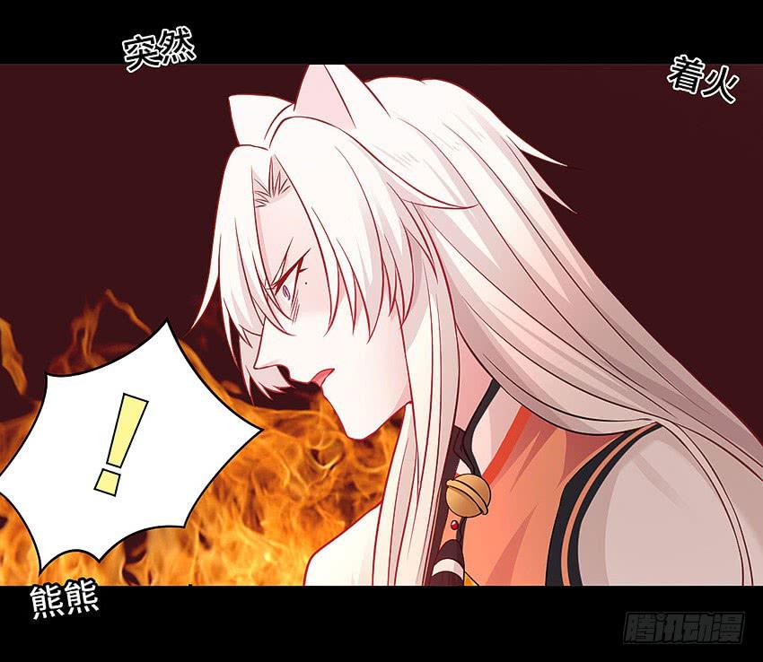 真是只傻猫-第40话