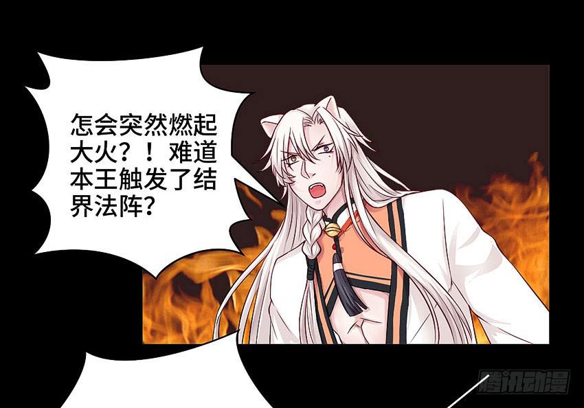 真是只傻猫-第40话