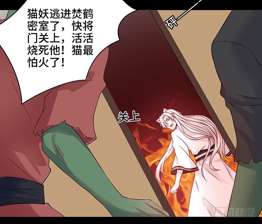 真是只傻猫-第40话