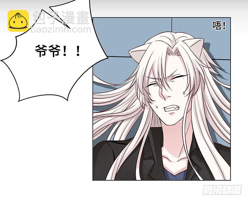 爷爷奶奶-第42话