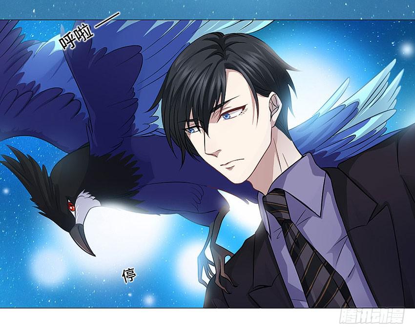 我的爱人-第62话