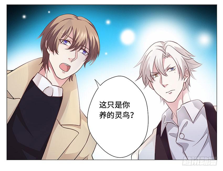 我的爱人-第62话