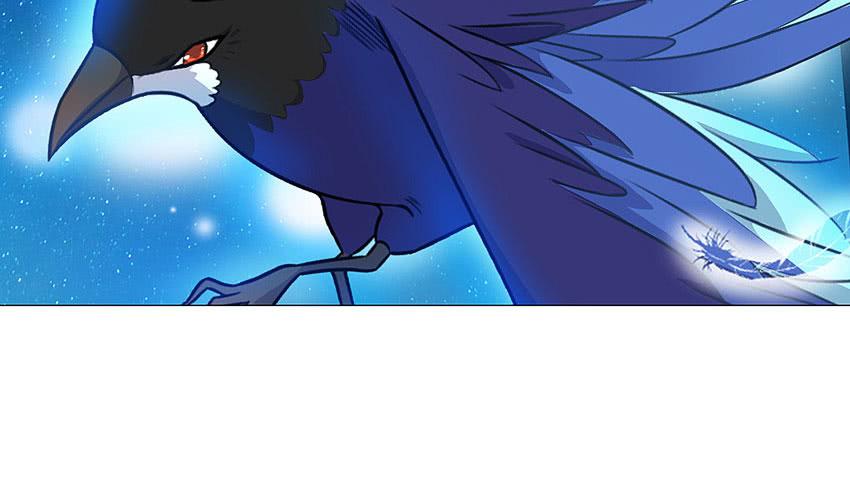 我的鸩儿-第64话