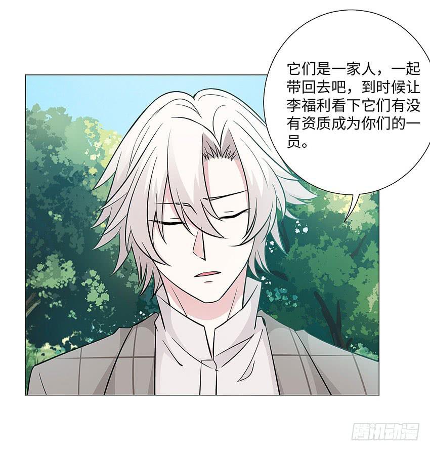 请不要叫我猫精-第80话