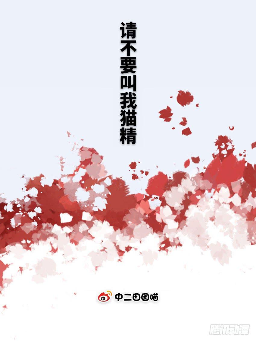 请不要叫我猫精-第80话