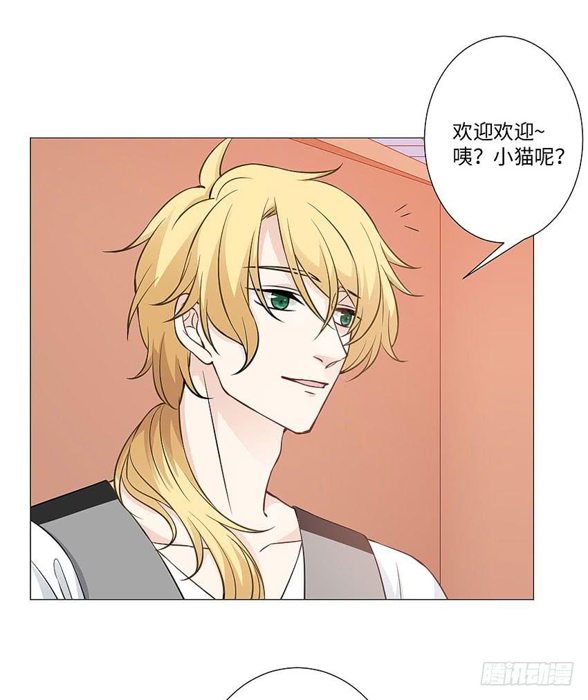 请不要叫我猫精-第80话