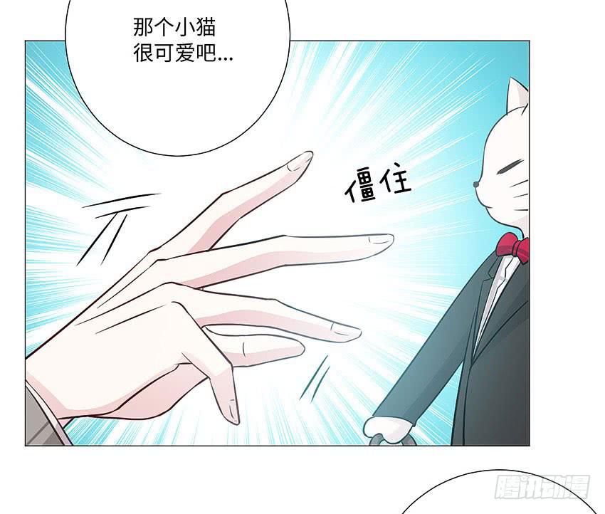 请不要叫我猫精-第80话
