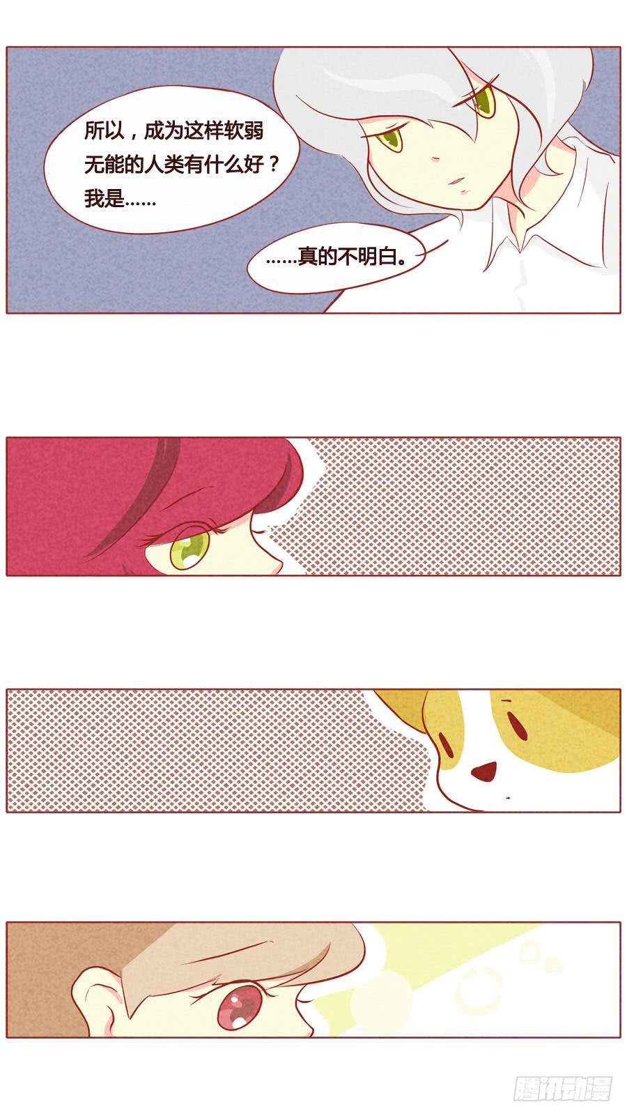 一起去看流星雨-第54话