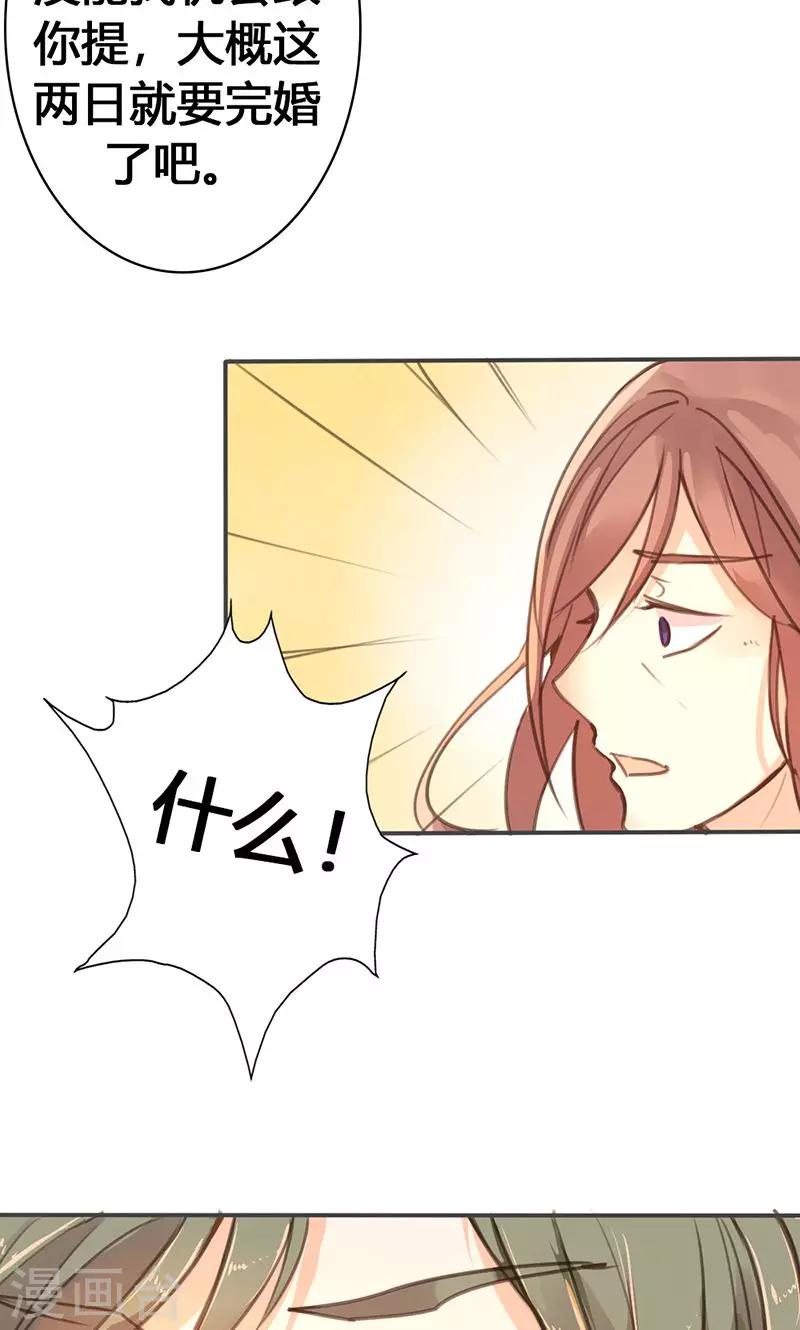 第29话 谁要成亲？-第30话