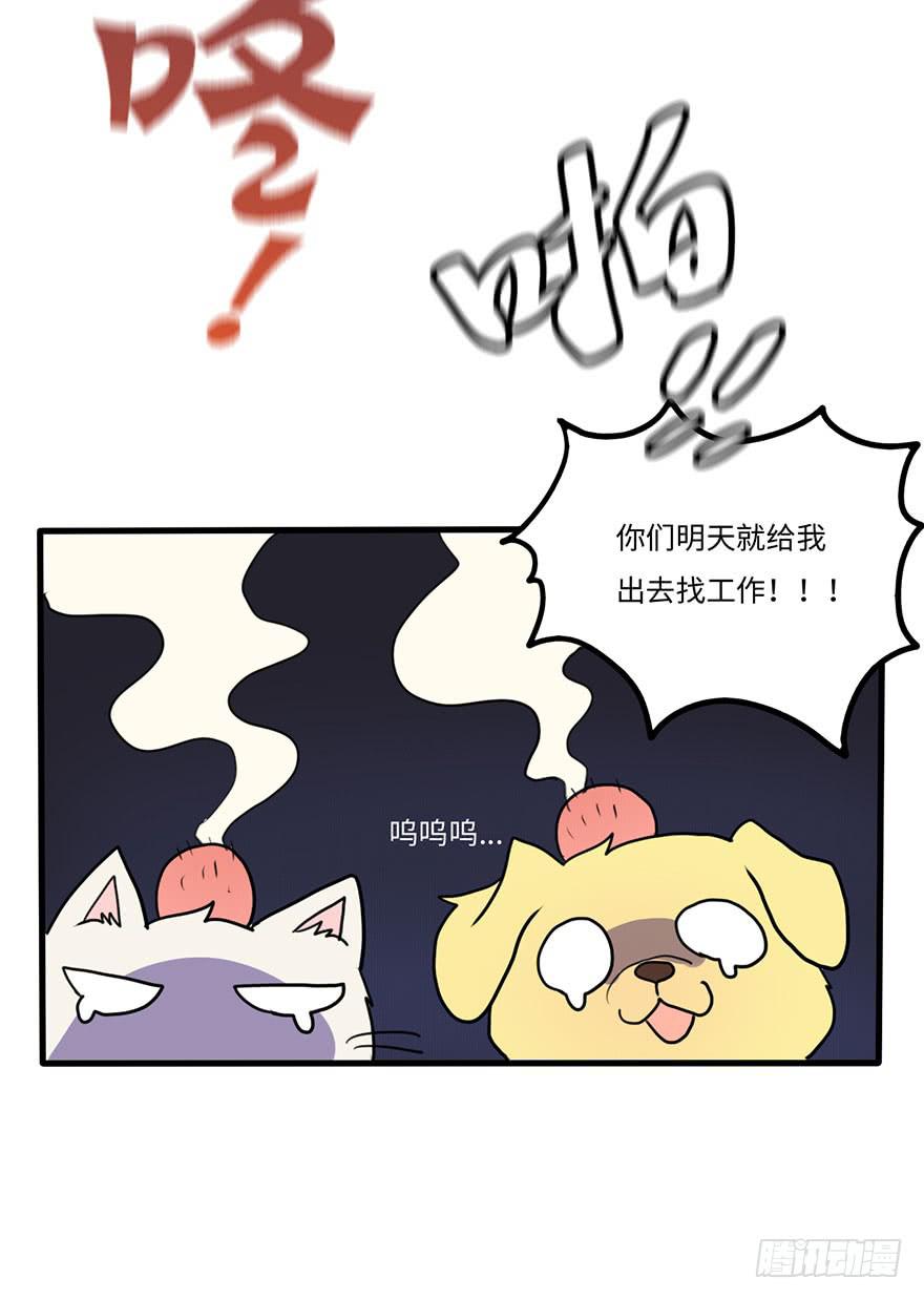 突如其来的关心-第18话