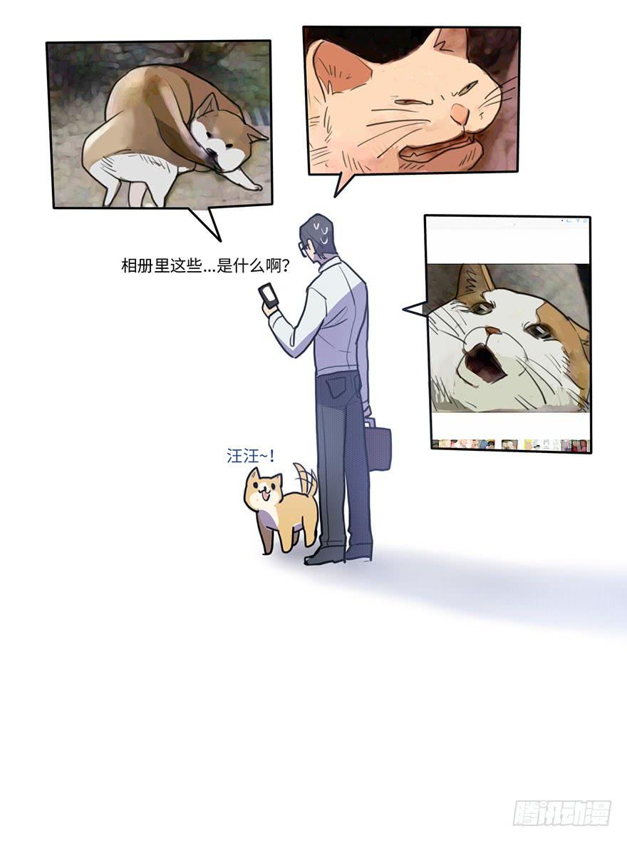 突如其来的关心-第18话