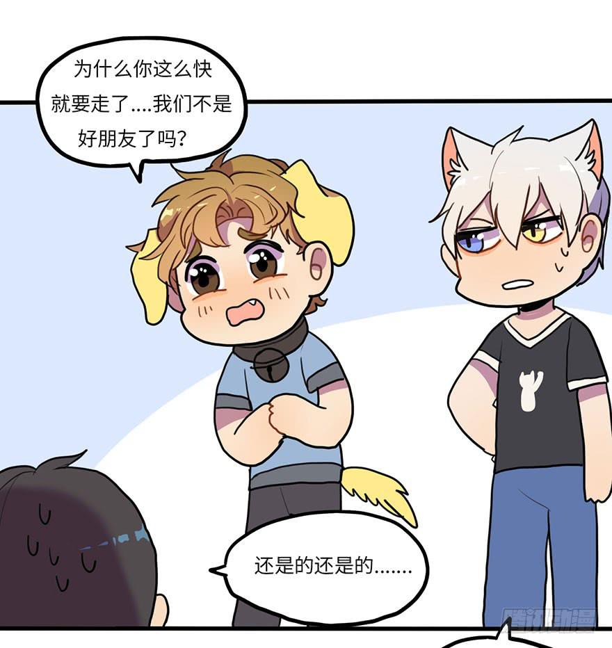 突如其来的关心-第18话