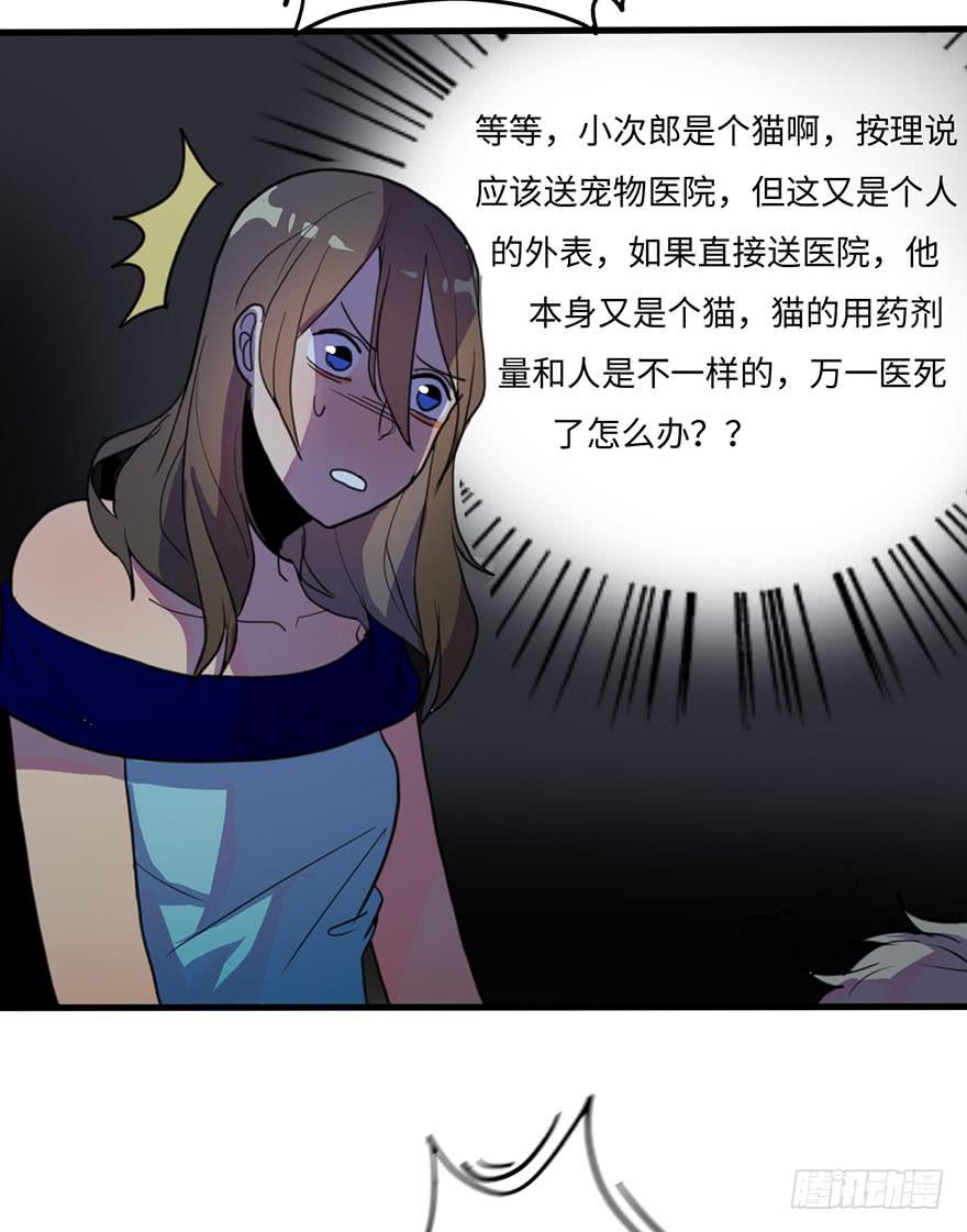 我家猫生病了究竟该去哪个医院啊？-第24话