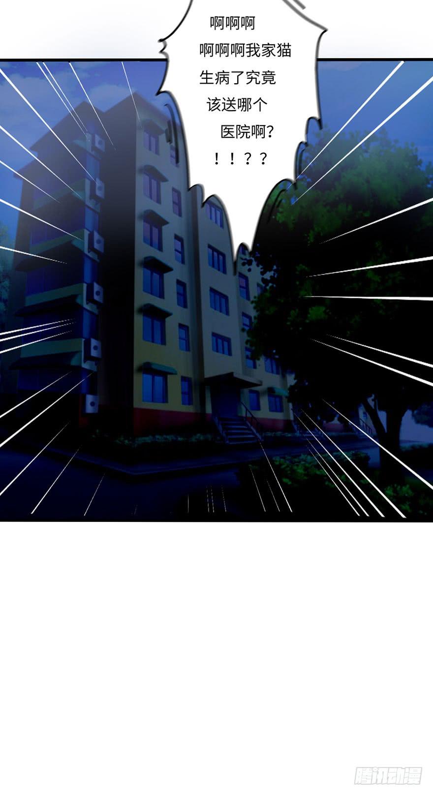 我家猫生病了究竟该去哪个医院啊？-第24话