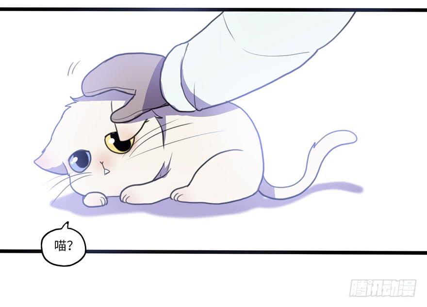 我应该早点割掉你的蛋蛋-第28话