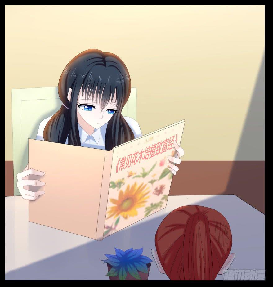 虚荣的代价-第12话