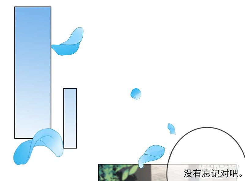 第71话(1/2)-第72话