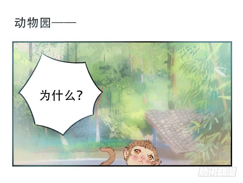 第9话：愿望成真 中-第22话