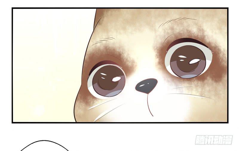 第72话：密锁面具03-第88话