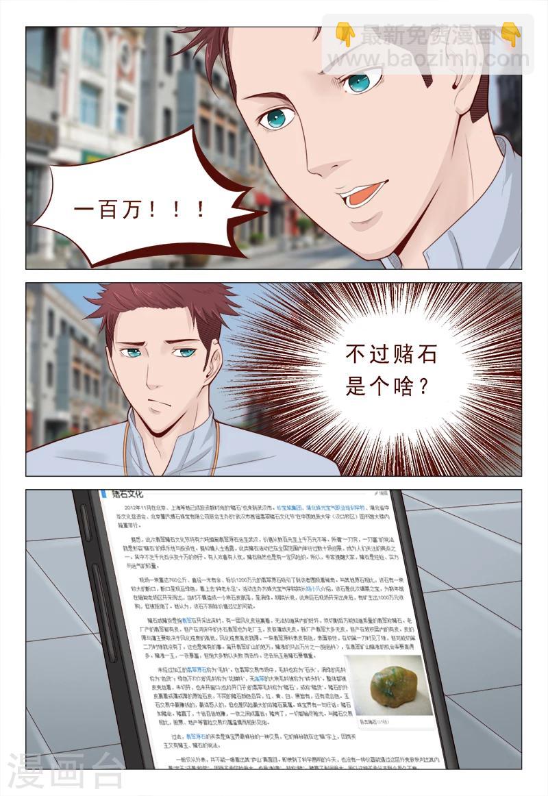 第20话 赌石-第20话